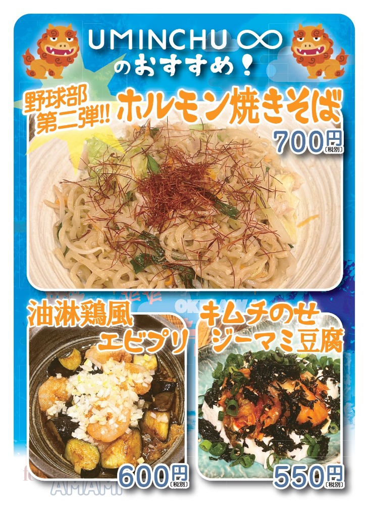 各種おすすめチラシ