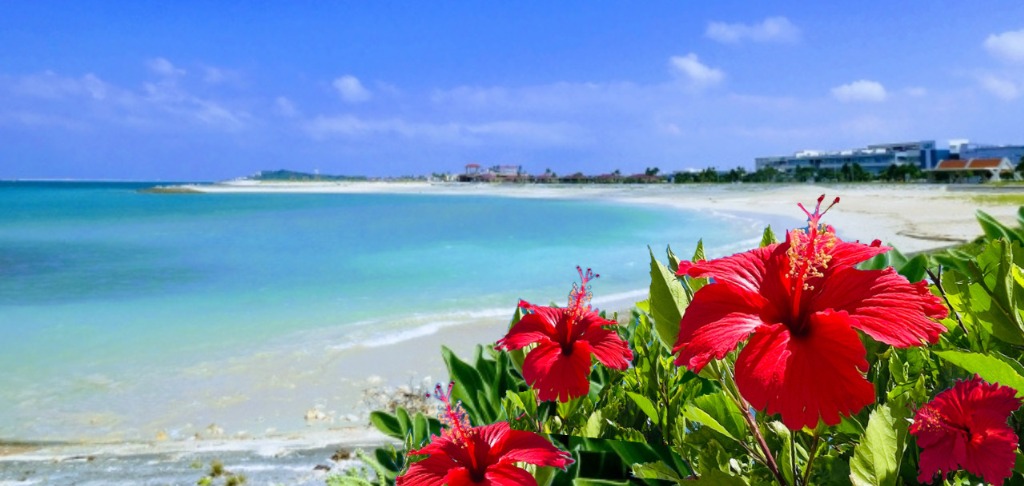 荻窪の当店は、歓送迎会や二次会などの各種宴会プランを提供する、深夜営業の沖縄料理酒場です。